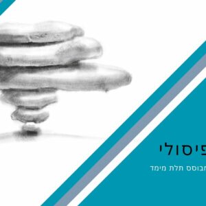 קורס רישום פיסולי אינטרנטי